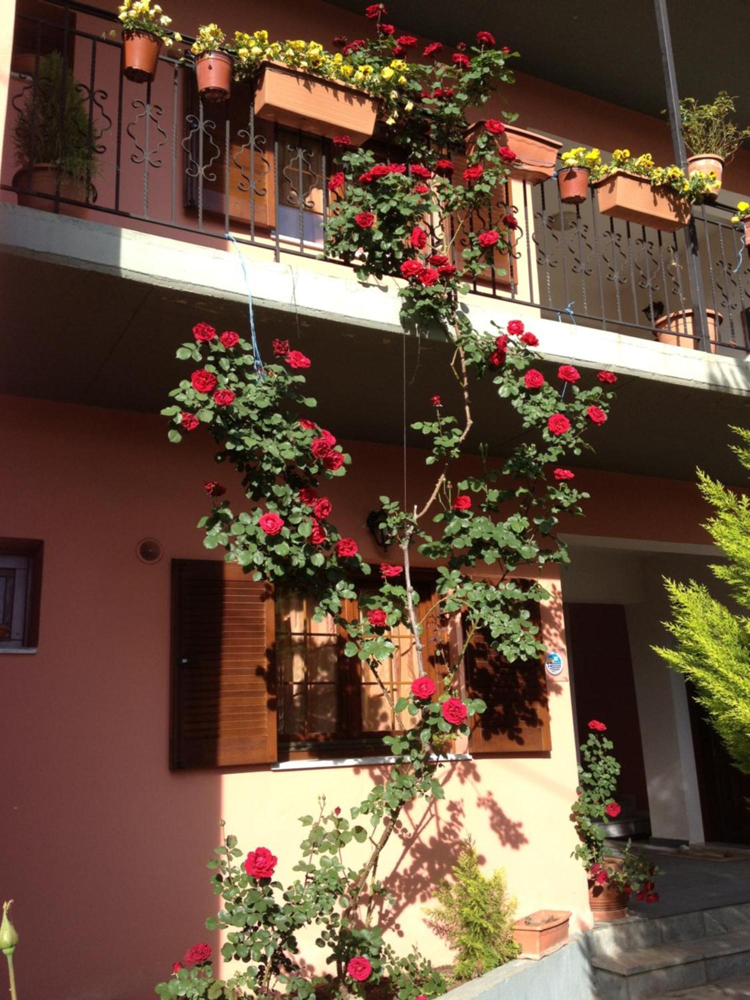 Artemis Apartments Konitsa Exterior foto