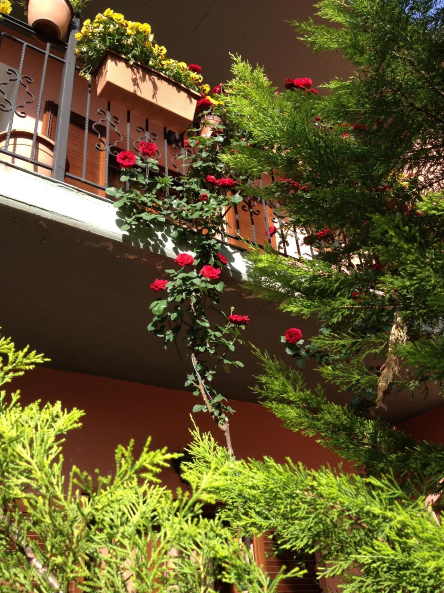 Artemis Apartments Konitsa Exterior foto