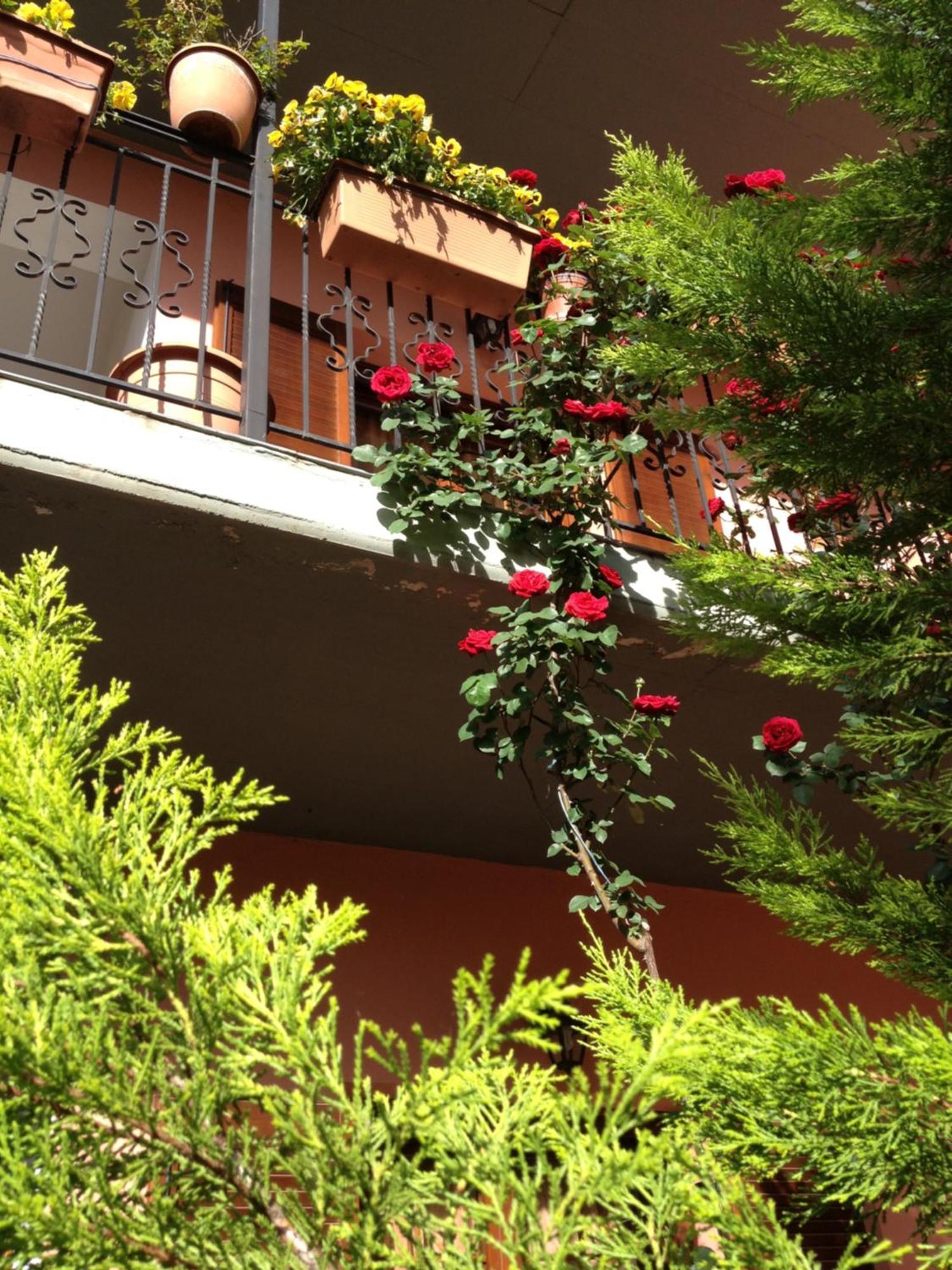 Artemis Apartments Konitsa Exterior foto