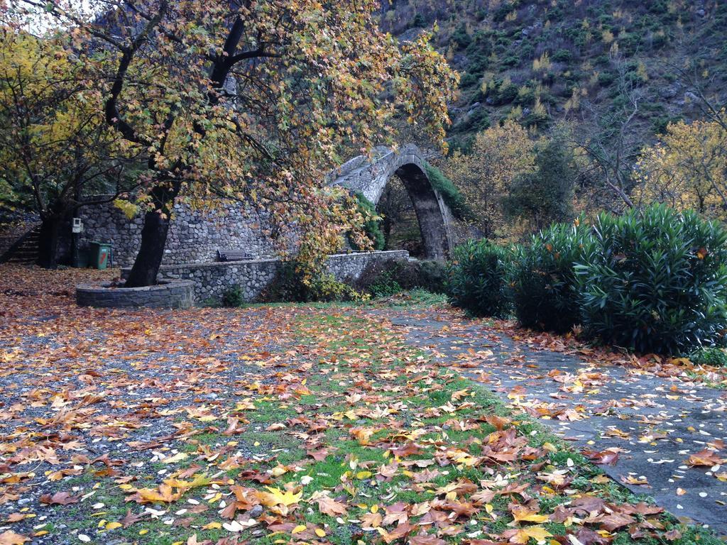 Artemis Apartments Konitsa Exterior foto