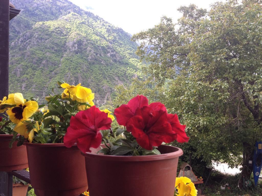 Artemis Apartments Konitsa Habitación foto